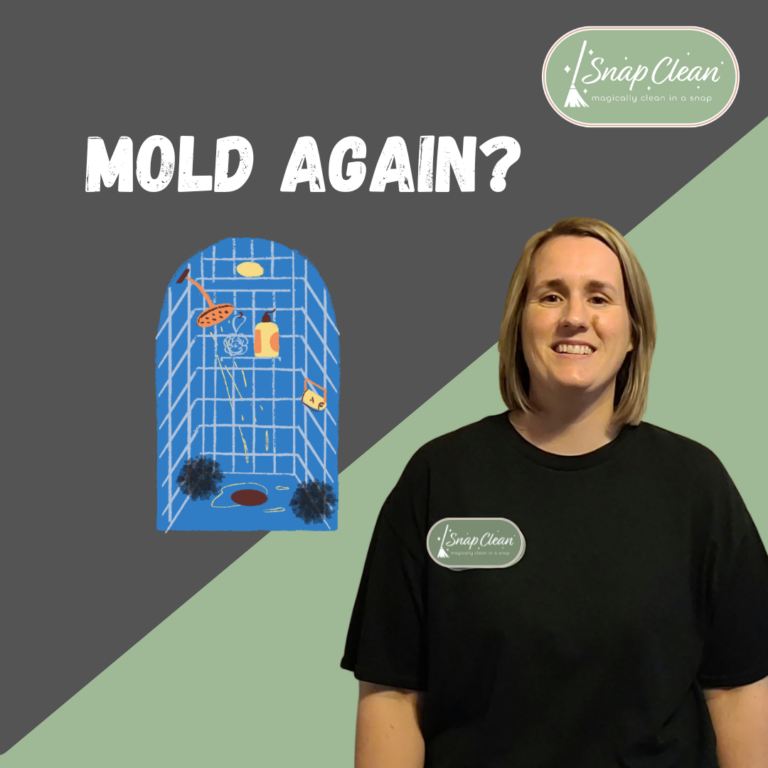 Why Shower Mold Keeps Coming Back After You Clean It